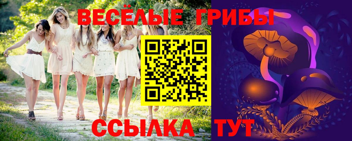 Магнитогорск  Псилоцибиновые грибы MAGIC MUSHROOMS  Вход с VPN  что такое наркотик  Псилоцибиновые грибы Magic Shrooms 